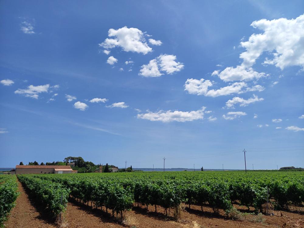domaine