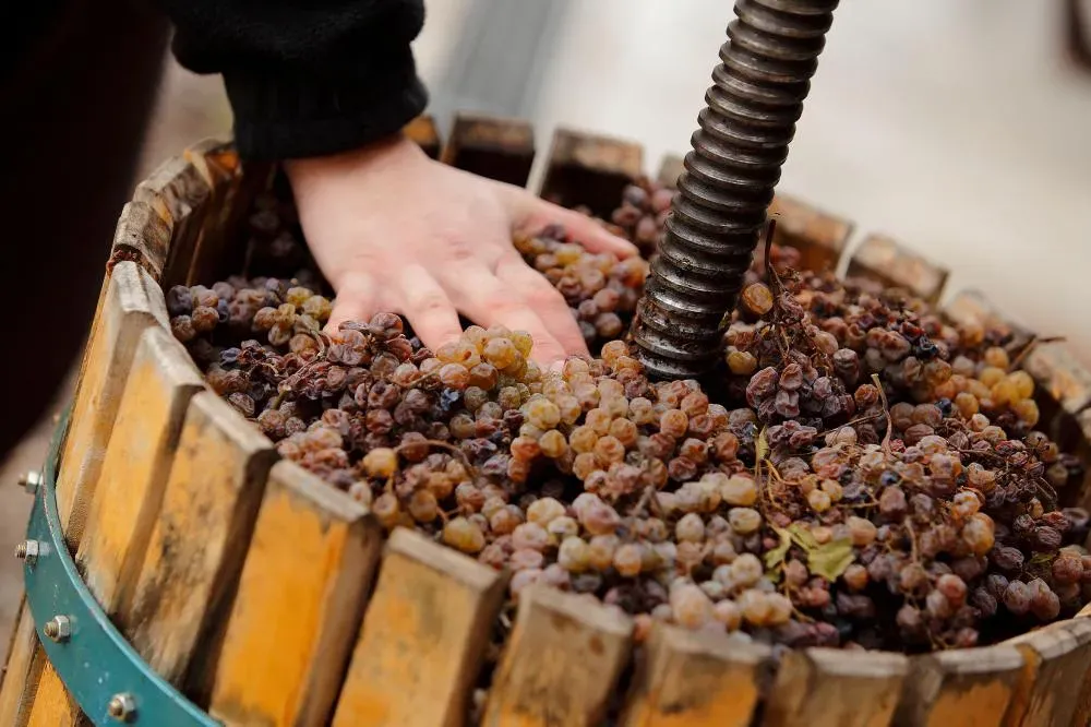 Domaine viticole près de Frontignan