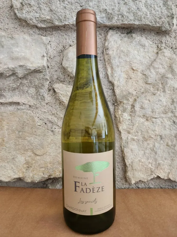 Vignoble traditionnel près de Frontignan